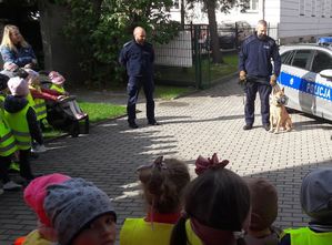 Plac przedszkolny. Na pierwszym planie i po lewej stronie stoją przedszkolaki w żółtych kamizelkach odblaskowych. Przed nimi radiowóz obok niego policjant, który trzyma na smyczy psa rasy owczarek belgijski. Pies siedzi obok policjanta, ma założony na pysk kaganiec. Obok stoi drugi policjant.