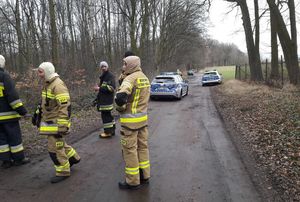 Czterech strażaków w ubraniach ćwiczebnych stoi na leśnej drodze. Przed nimi po lewej stronie ściana lasu. Na tej samej drodze w tle stoją zaparkowane dwa policyjne radiowozy.
