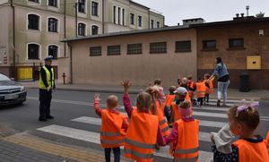 Olesno ulica Sądowa. Grupa małych dzieci w pomarańczowych kamizelkach odblaskowych przechodzi przez jezdnię po pasach. Dzieci podnoszą w górę lewą rękę. Po lewej stronie przed pasami stoi policjantka ruchu drogowego i wstrzymuje ruch na drodze. Za nią stoi samochód osobowy.