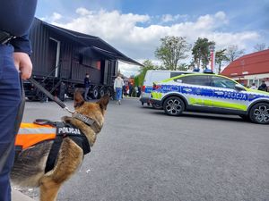 Zdjęcie w kolorze przedstawia przewodnika w psem służbowym w tle policyjny radiowóz.