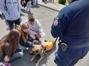 Zdjęcie w kolorze przedstawia przewodnika z psem służbowym, którego głaszczą młode kobiety.