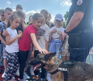 Zdjęcie w kolorze przedstawia dzieci głaszczące psa który jest trzymany przez policjanta na smyczy