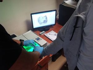 Zdjęcie w kolorze, przedstawia rękę zatrzymanego podczas skanowania linii papilarnych na skanerze, w tle ekran monitora z wyświetlonym w powiększeniu odciskiem palca.