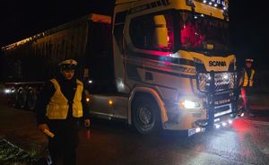 Zdjęcie w kolorze przedstawia pojazd ciężarowy stojący na jezdni obok po obu stronach stoją policjanci.