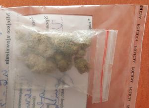 Zdjęcie w kolorze przedstawia woreczek foliowy z zawartością zielonego suszu roślinnego - marihuana.