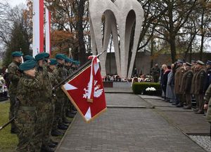 Zdjęcie w kolorze przedstawia kompanie honorowa Wojska Polskiego podczas obchodów Święta Niepodległości.