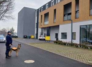 Zdjęcie w kolorze przedstawia policyjnego przewodnika psa służbowego obok budynku.