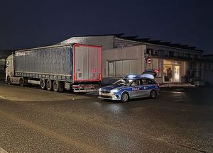 Zdjęcie w kolorze przedstawia radiowóz policyjny zaparkowany przy jezdni, obok niego stoi pojazd ciężarowy.