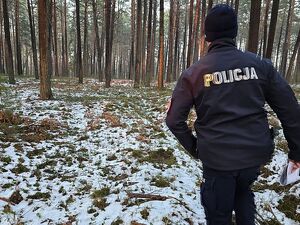 Zdjęcie w kolorze przedstawia policjanta idącego  z kartką w dłoni w obszarze leśnym, miejscami na ściółce widoczny śnieg.