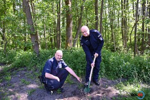 Zdjęcie w kolorze przedstawia dwóch policjantów podczas sadzenia drzewka.