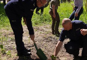 Zdjęcie w kolorze przedstawia policjantów podczas sadzenia drzewka.