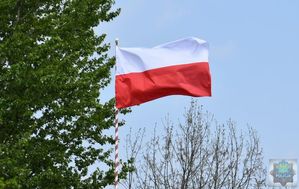 Powiewająca na wietrze biało czerwona flaga w tle drzewa i niebo