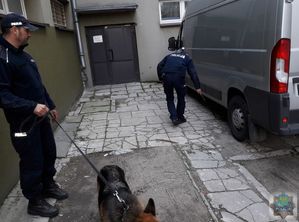 Policjanci szukają bomby na zapleczu szpitala, policjant z psem stoi przy budynku, drugi policjant sprawdza przy pomocy lusterka podwozie zaparkowanego pojazdu dostawczego.