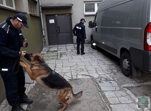 Policjanci szukają bomby na zapleczu szpitala, policjant z psem stoi przy budynku - pies stojąc na tylnych łapach opiera się o funkcjonariusza, drugi policjant sprawdza przy pomocy lusterka podwozie zaparkowanego pojazdu dostawczego.